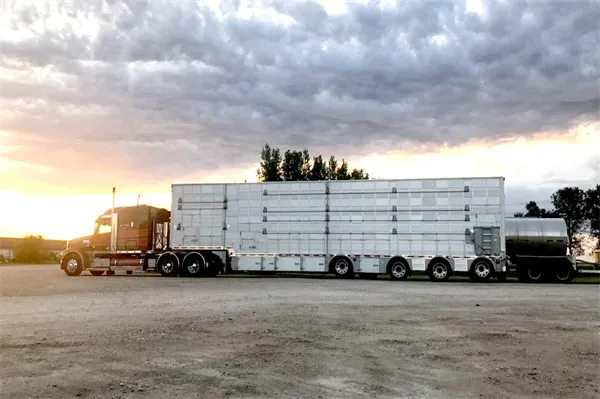 5e3e38d24a3e9c51fd48676654070497 5e3e38d24a3e9c51fd48676654070497