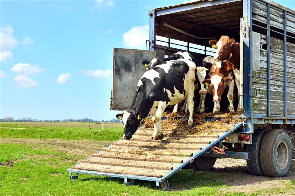 Semirreboque de parede lateral